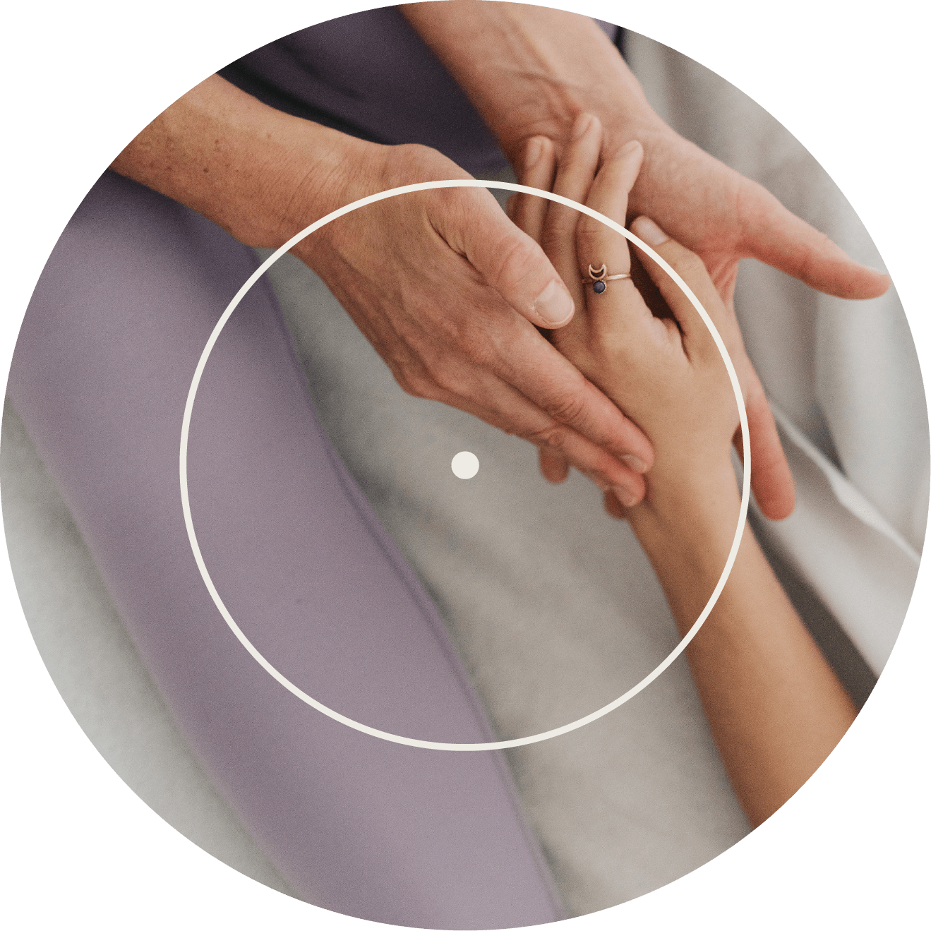 regeneracni-autorska